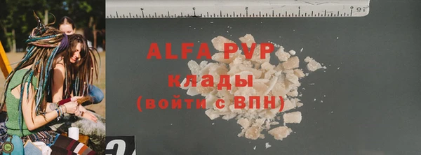 индика Михайловск