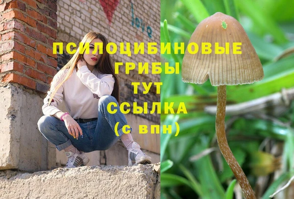 первитин Надым