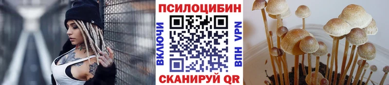 Галлюциногенные грибы Cubensis  Купить  Усолье 